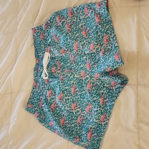 Men's CHUBBIES Swim Trunks